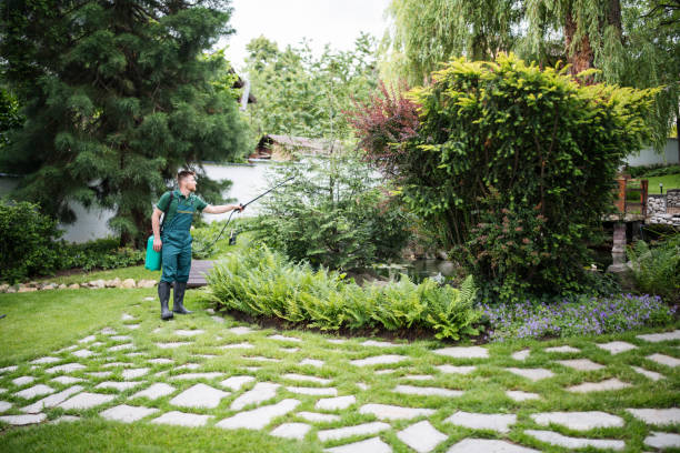 Best Exterminator Services  in Cheney, WA