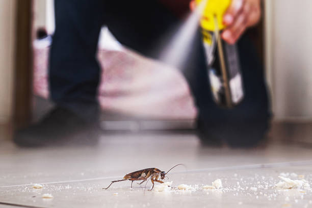 Best Rat Extermination Near Me  in Cheney, WA