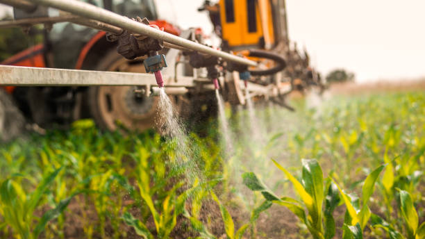 Professional Pest Control in Cheney, WA